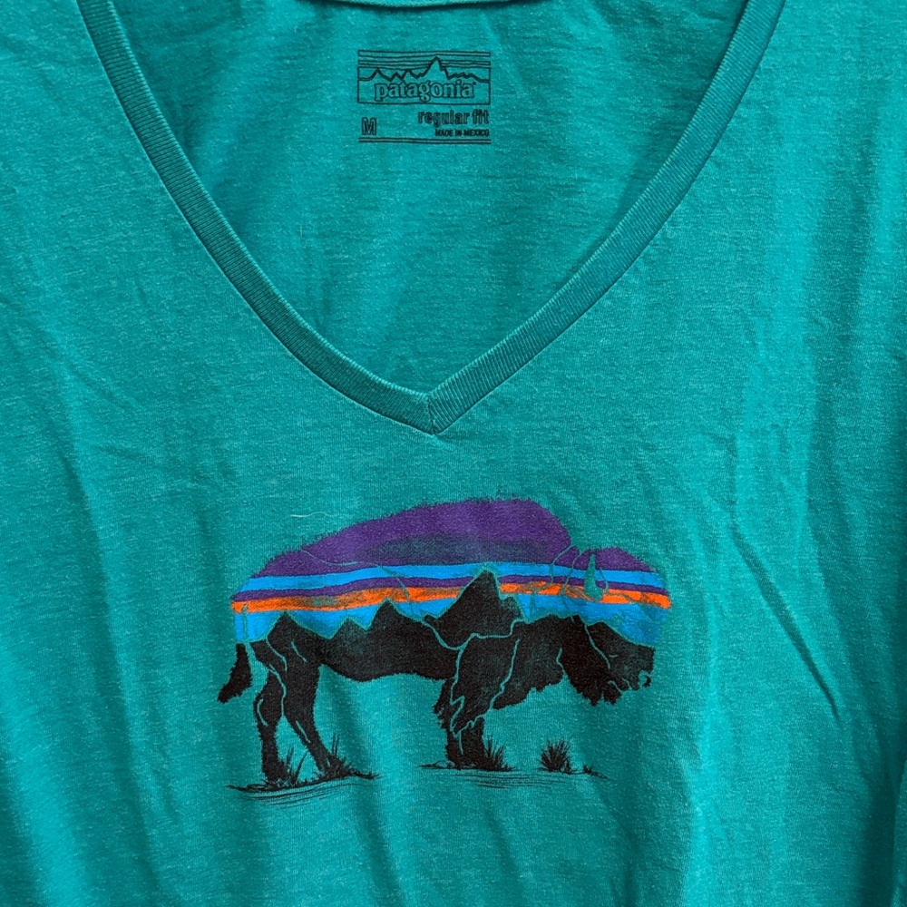 Patagonia Green V-Neck Tee with Buffalo Sunset Graphic